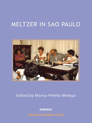cover image of Meltzer in Sao Paulo